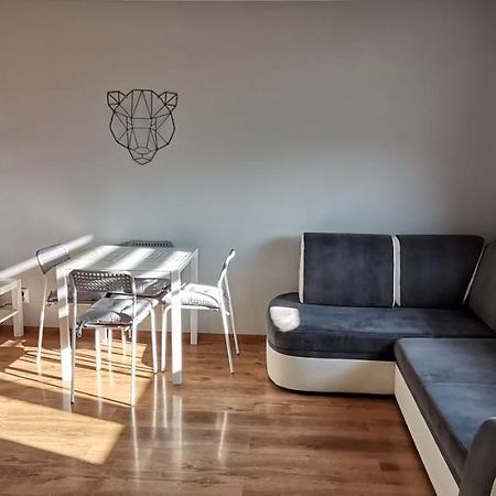 Apartament Przy Papierni Apartament Duszniki Zdrój Zewnętrze zdjęcie