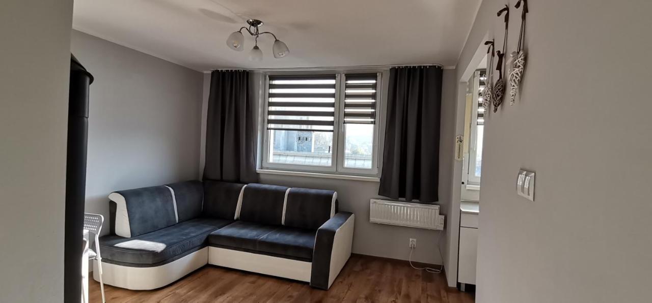 Apartament Przy Papierni Apartament Duszniki Zdrój Zewnętrze zdjęcie